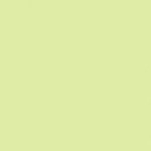 SANDERSON PAINT PALE LEAF  69
